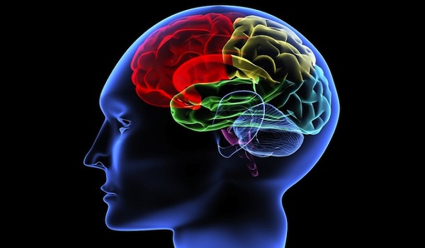 Visual changes,Speech changes,• Progressive weakness,Clumsiness,