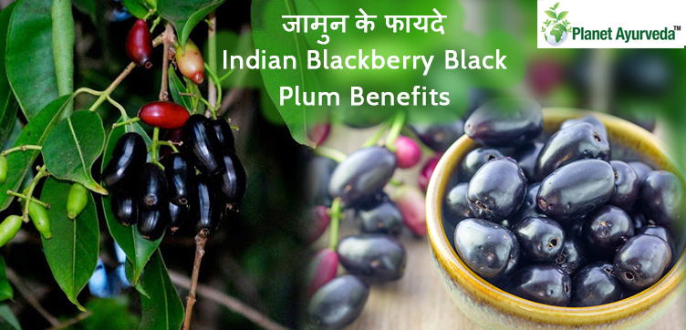 Health Benefits of Indian Blackberry