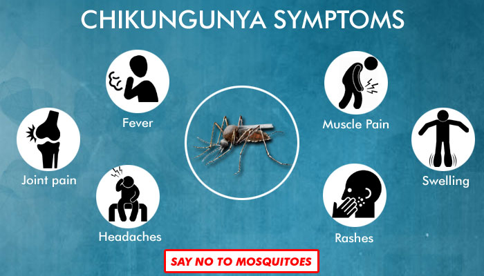 Symptoms of Chikungunya Fever