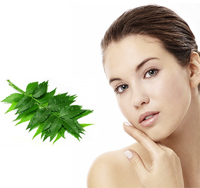 Neem is an herbal plant which has many medicinal properties and has been used since ages in Ayurveda. 