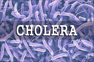 How Ayurveda Can Help In Treating Cholera?