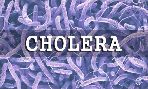 how ayurveda can help in treating cholera