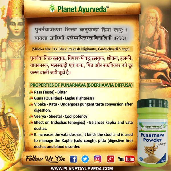 Properties of Punarnava (Boerhavia diffusa)