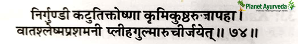 shloka on nirgundi oil